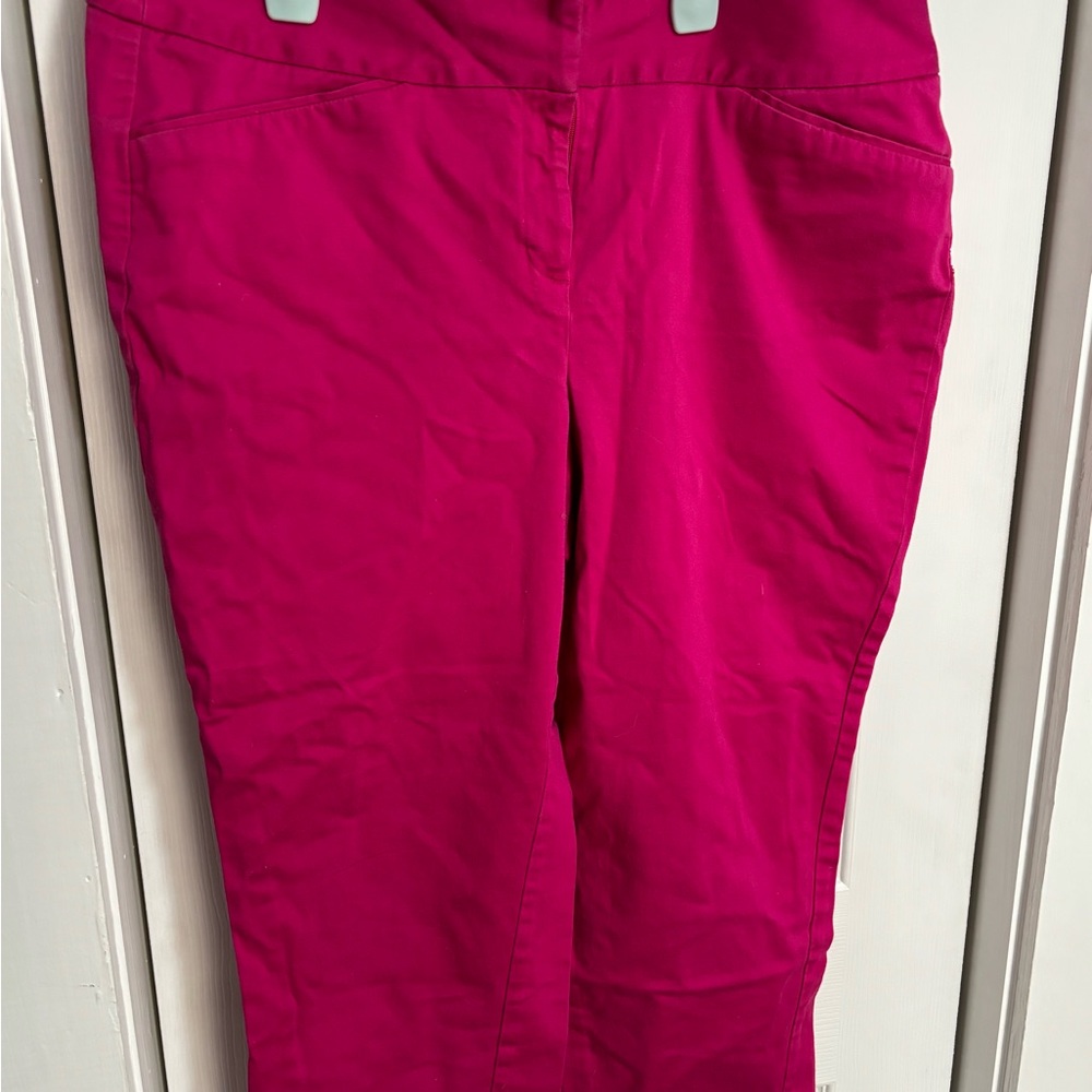 Dana Buchman Fuchsia Trousers